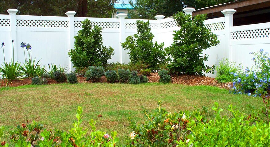 Privacy Fencing